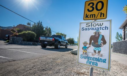Town enlists sasquatches to try to slow traffic