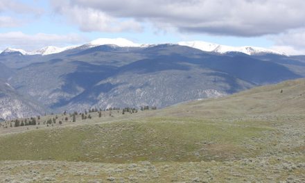PROVINCE NEEDS TO PROTECT ECOSYSTEMS THAT CROSS BORDERS: STUDY