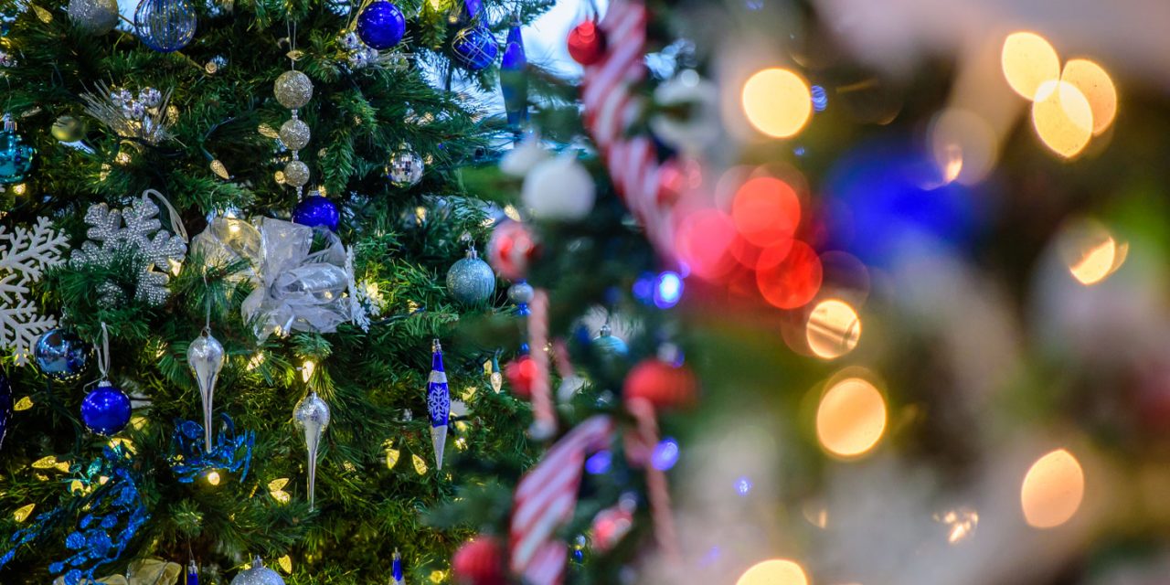 Annual Festival of Trees underway at two locations in Osoyoos and one in Oliver