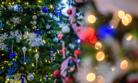 Annual Festival of Trees underway at two locations in Osoyoos and one in Oliver
