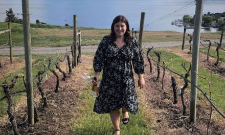 Wine blogger creates list of open wineries to promote B.C. wine