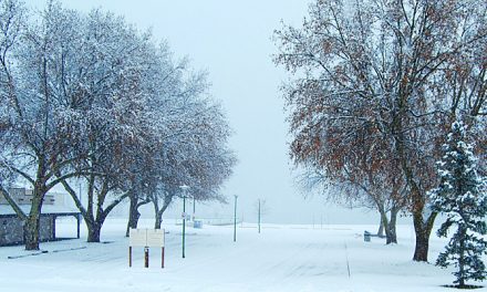 LAST YEAR’S WEATHER WAS ABNORMALLY NORMAL: METEOROLOGIST