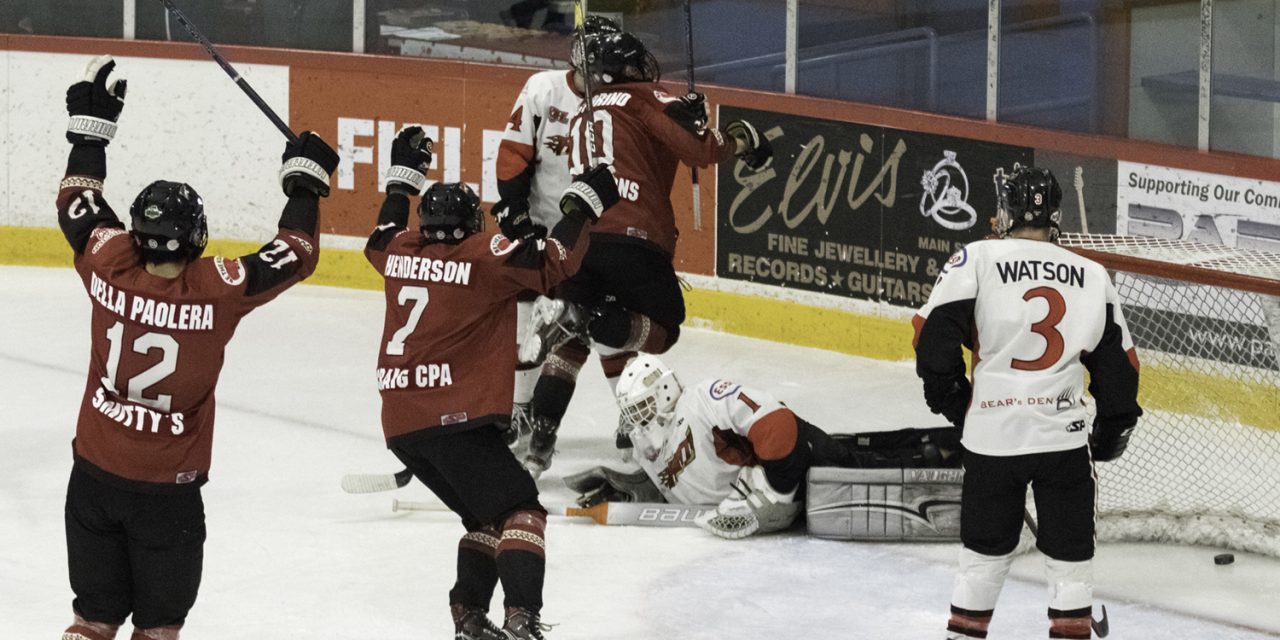 Coyotes score nine, grab two wins before holiday break