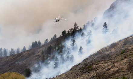UPDATE: Richter Creek wildfire now 80 per cent contained