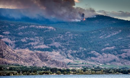 Cooler weather and some moisture provide relief from wildfires locally