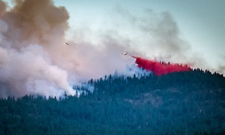 Lightning strikes cause new wildfires to break out across region