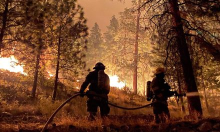Oliver firefighters on the front lines in Christie Mountain fire