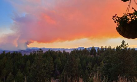 UPDATE: Palmer Lake wildfire moving north towards border