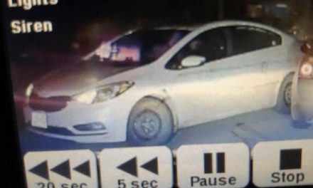 RCMP seeking tips after officer struck by vehicle