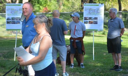 Town hears feedback on proposed community plaza