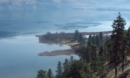 Sickle point sale rejected