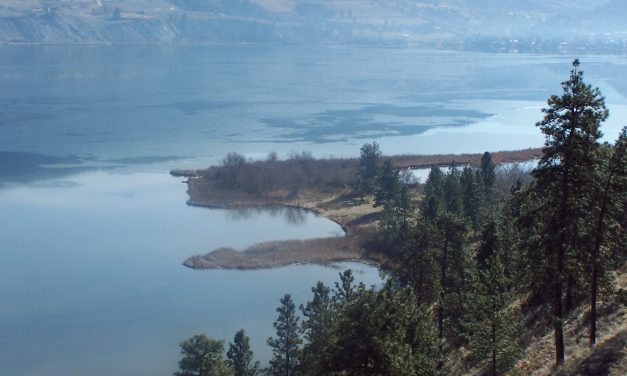 PIB joins opposition to sale of Sickle Point