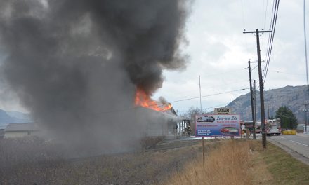 Fire damages Saran Fruit Market
