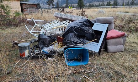 Anger, apathy behind illegal dumping