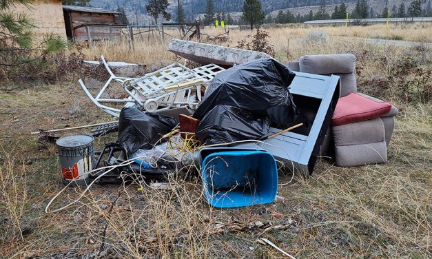Anger, apathy behind illegal dumping