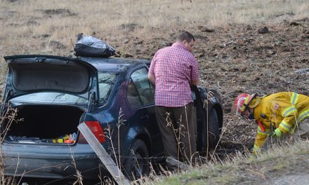 Driver injured in rollover