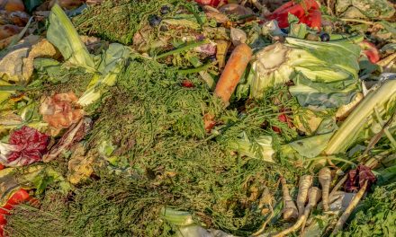 RDOS seeks grant to fund curbside organic waste pick up