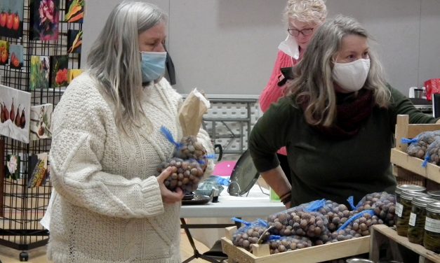 Market on Main frustrated with restrictions