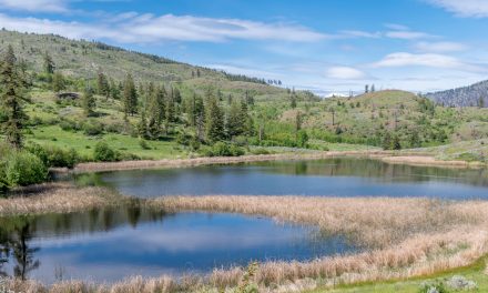 BC Parks tackles booking issues with website revamp