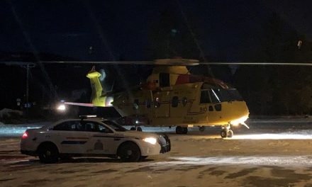 Canadian Armed Forces rescue officer, suspect from ravine