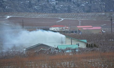 Investigation to be conducted on house fire