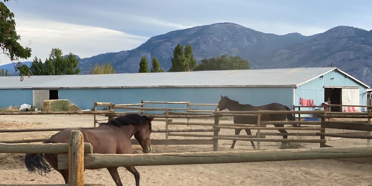 Desert Park set to have a busy year ahead
