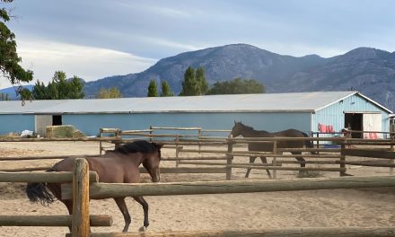 Desert Park set to have a busy year ahead