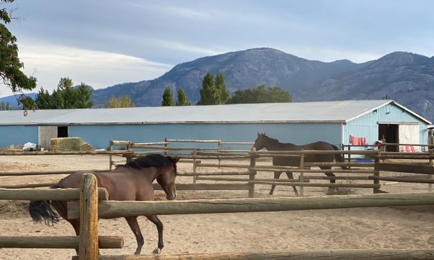 Desert Park set to have a busy year ahead