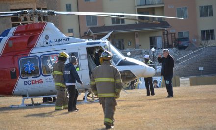 Firefighters assist air ambulance