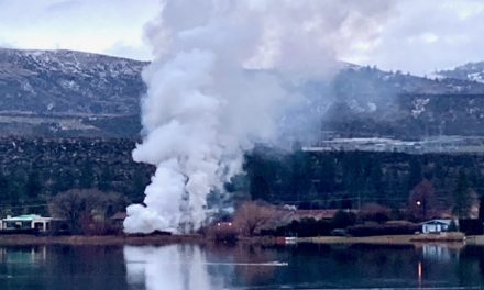 Firefighters called to ‘unattended’ burn pile