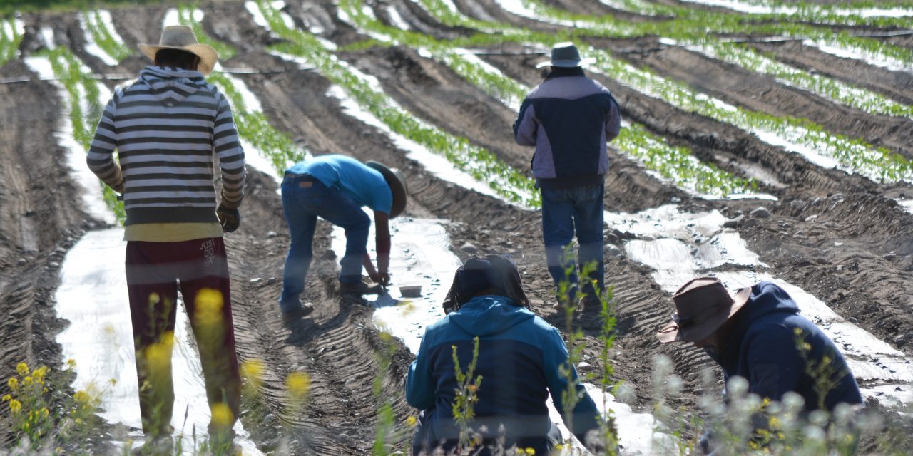 BCFGA applauds quarantine extension program