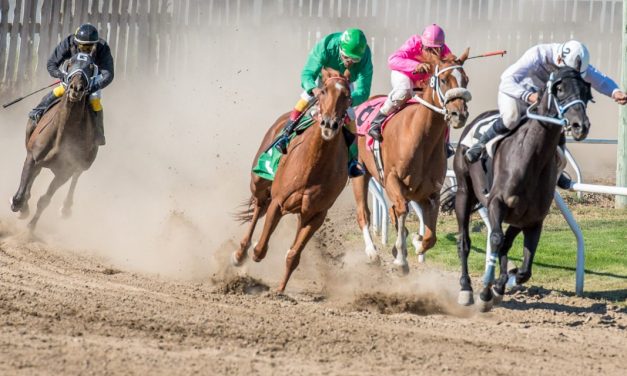 Desert Park raceway addresses concerns