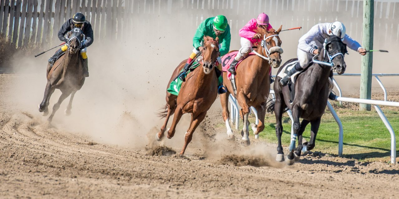 Desert Park raceway addresses concerns