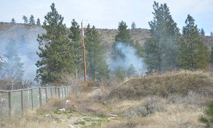 Call before you burn, fire chief advises