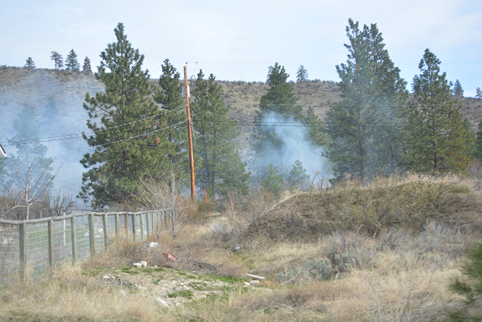 Call before you burn, fire chief advises