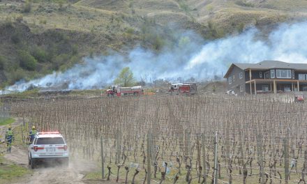 Spark from mower suspected cause of fire