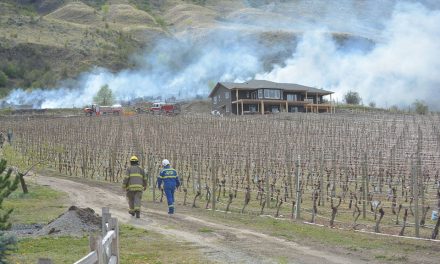 Crews contain brush fire