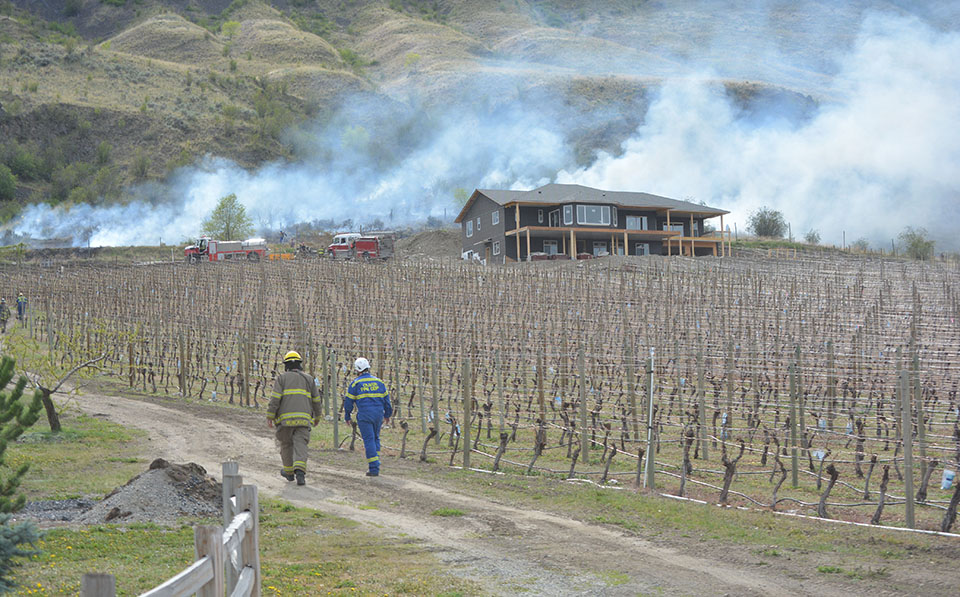 Crews contain brush fire