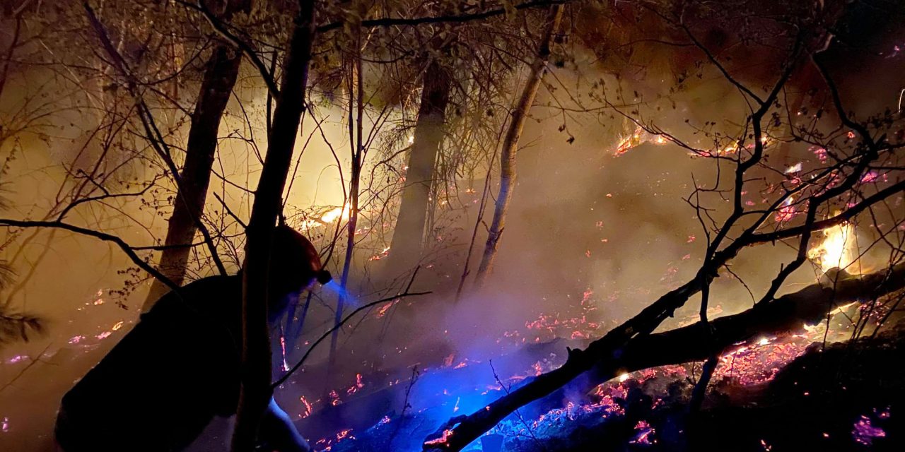 Grass fire human caused