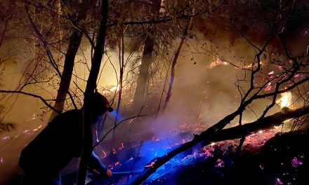 Grass fire human caused