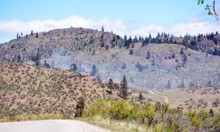 Brush fire ‘suspicious’