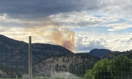 Park Hill fire near Twin Lakes now ‘held’