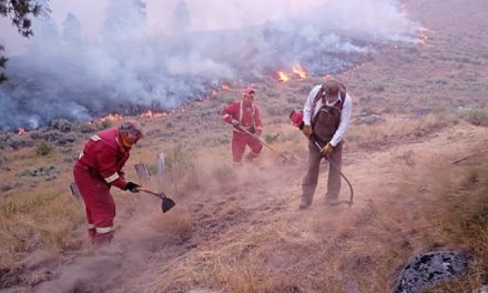 Nk’Mip Creek fire jumps to 6,800 hectares