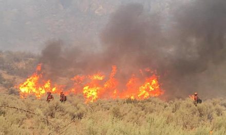 Area Restriction Order bans public from Nk’Mip fire areas