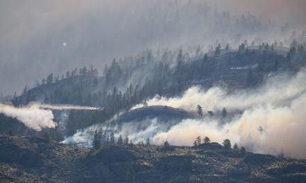 Fire crews keeping close eye on Shrike Hill
