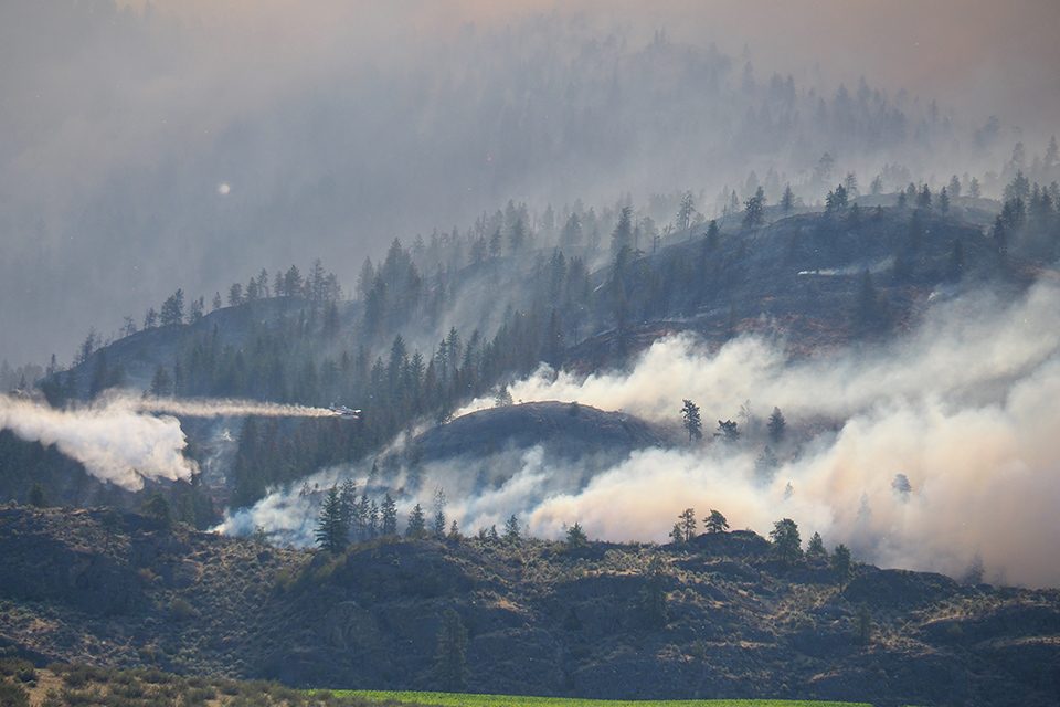 Wildfire butt kickers are true saviours
