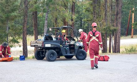 Special team to manage Nk’Mip Creek fire