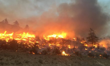 RDOS and Oliver seek new FireSmart grants for 2023