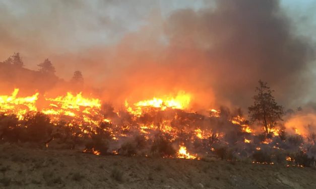 Forum to prepare for upcoming wildfire season