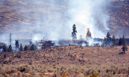 Burn-off ‘successful’ in Nk’Mip Creek fire